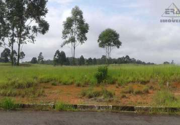 Terreno residencial à venda, jardim jóia, arujá - te0206.