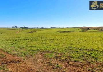 Fazenda de primeira em bagé-rs