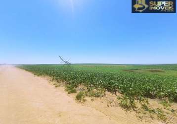 Fazenda de excelência no rs 2.100 hectares cachoeira do sul