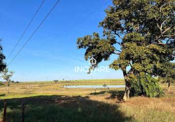 Chácara com 2 dormitórios à venda, 1 m² por r$ 1.000.000,00 - zona rural - itumbiara/go