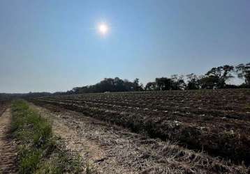 Terra de planta próximo a rodovia