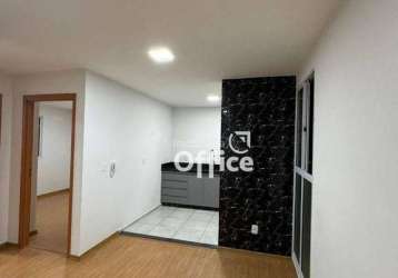 Apartamento com 2 dormitórios à venda, 40 m² por r$ 250.000,00 - vila jaiara - anápolis/go