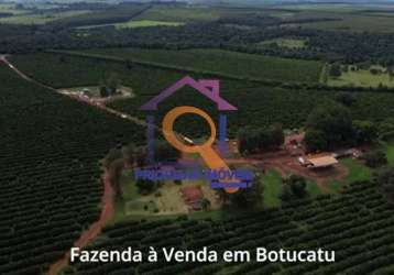 Fazenda de laranja com 623 ha em botucatu -sp