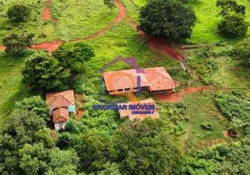 Fazenda dupla aptidão 118,1267 ha a venda em paineiras-mg