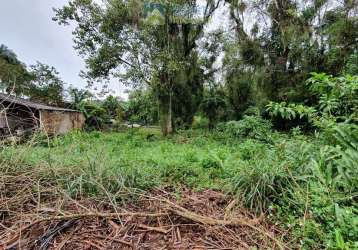 Terreno à venda no bairro rocio - morretes/pr, urbana