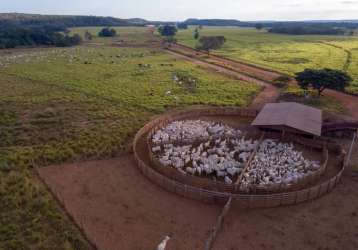 Fazenda dupla aptidão á venda de porteira fechada em barra do ouro-to!