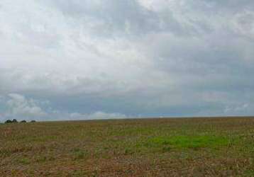 Fazenda á venda no município de catalão-go