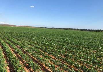 Oportunidade única: fazenda produtiva em rio do sono.