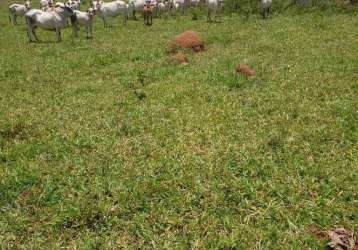 Fazenda de 1.200 hectares em unaí/mg - ideal para agricultura e pecuária!