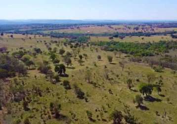 Fazenda de dupla aptidão em campina verde- mg: uma oportunidade única!