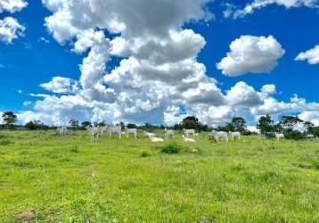 Oportunidade única: fazenda de 1.300 hectares entre arinos e chapada!