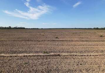 Fazenda excepcional em chapada gaúcha- mg