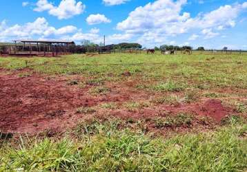 Fazenda de dupla aptidão em campo grande, ms - 2000 hectares de oportunidade!