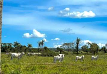 Fazendão p/ lavoura ou pecuária bandeirantes-to