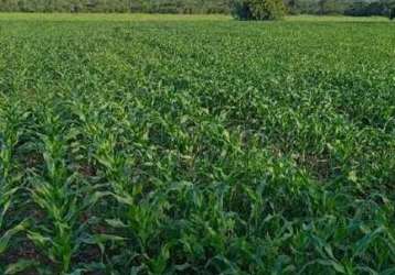 Fazenda porteira fechada em gurupi-to