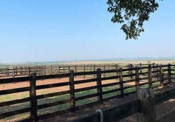 Fazenda á venda na região de presidente kennedy a 12 km da cidade e 25 de guaraí