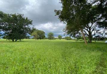 Paraíso rural de 17 alqueires em uberlândia: sua oportunidade