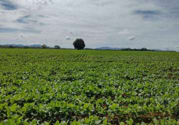 Oportunidade única: fazenda á venda de 1.577 hectares em barro alto-go