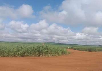 Fazenda cana de açúcar em mineiros- go: oportunidade única!