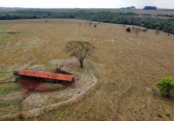 Belíssima fazenda a venda no município de prata-mg