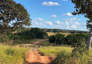 Explore uma grande oportunidade: fazenda espetacular à venda em general carneiro - mt