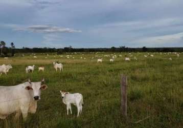 Ótima fazenda em cristalina-go próxima a colinas-to.