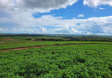 Fazenda a venda em prata-mg