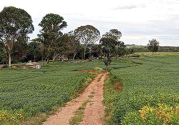 Fazenda no município de coromandel