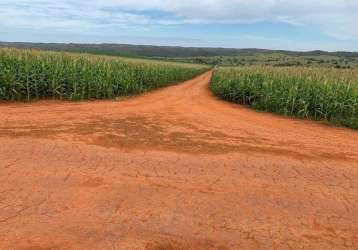 Excelente fazenda localizada no município de campo alegre-go