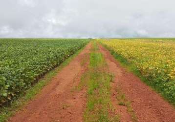 Fazenda na área rural de água fria de goiás