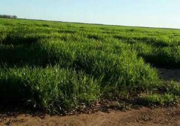 Fazenda na área rural de barreiras - ba