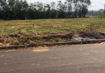 Terreno à venda, jardim ipanema - uberlândia/mg