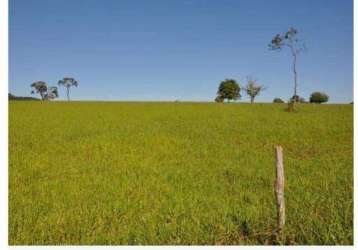 Fazenda à venda, 1 quarto, área rural de tupaciguara - tupaciguara/mg