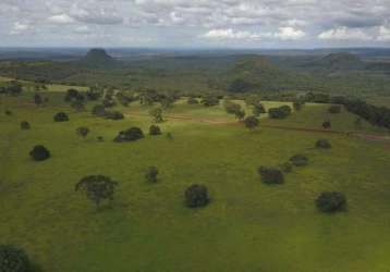 Fazenda em pecuária em chapadão do céu - go: ótima oportunidade!