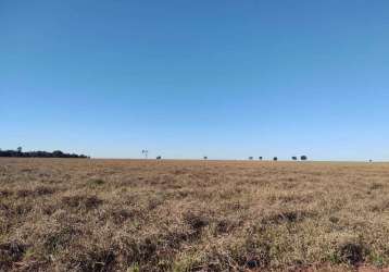 Fazenda de pecuária com aptidão para lavoura em paraíso das águas - ms