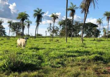 Oportunidade: fazenda á venda na região sul de tocantins