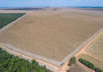 Fazenda dupla aptidão em campo novo do parecis-mt!