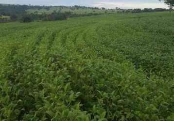 Fazenda com dupla aptidão localizada na região do prata - mg