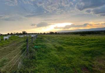 Fazenda de dupla aptidão localizada no município de flor de goias - go próximo a agua fria - go