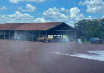 Fazenda à venda, area rural de cristalina - cristalina/go