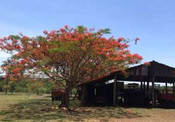 Fazenda à venda, área rural de itarumã - itarumã/go