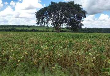 Fazenda à venda, area rural campo florido mg - campo florido/mg