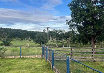 Fazenda à venda, area rural de gurinhata - gurinhata/mg