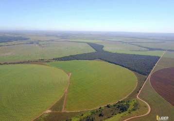 Fazenda à venda, área rural de uberlândia - uberlândia/mg