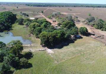 Fazenda à venda, area rural de peixe-to - peixe/to