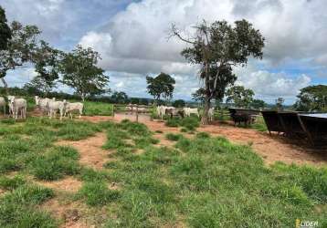 Fazenda à venda, area rural de torixoreu-mt - torixoréu/mt