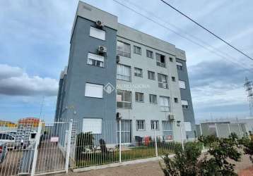 Apartamento com 2 quartos à venda na viana moog, 577, panorâmico, osório, 49 m2 por r$ 335.000