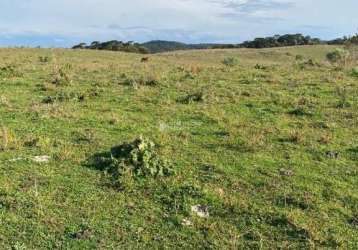 Terreno comercial à venda na getúlio vargas, 937, 1000, centro, cambará do sul, 3180000 m2 por r$ 7.950.000