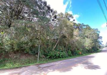 Terreno à venda na alziro torres filho, 1001, centro, são francisco de paula, 3736 m2 por r$ 1.800.000