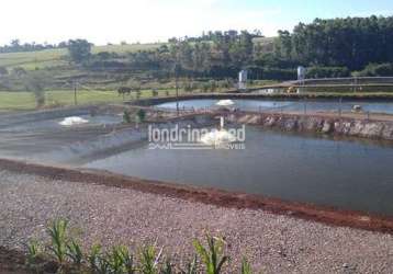 Chácara à venda zona rural, nova santa rosa - pr